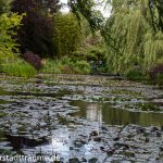 Monets Garten - der Teich