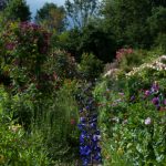 Ein Blütenmeer im Garten von Claude Monet