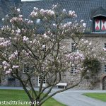 Schloss Ehreshoven Magnolienblüte