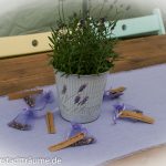 Tischdekoration: Lavendelpflanzen mit Gastgeschenken