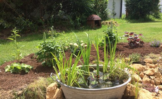 Staudenbeet am Steingarten mit Teich