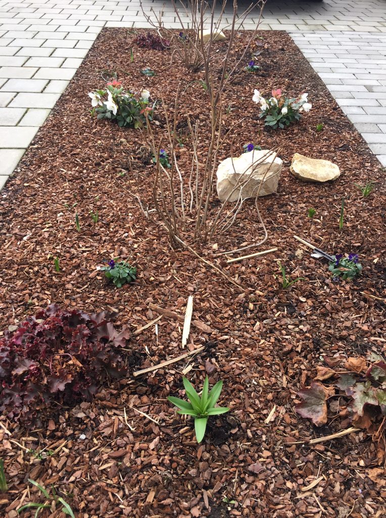 Beet vor dem Eingang