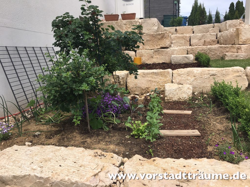 Juni 2019: Seitlich vom Haus