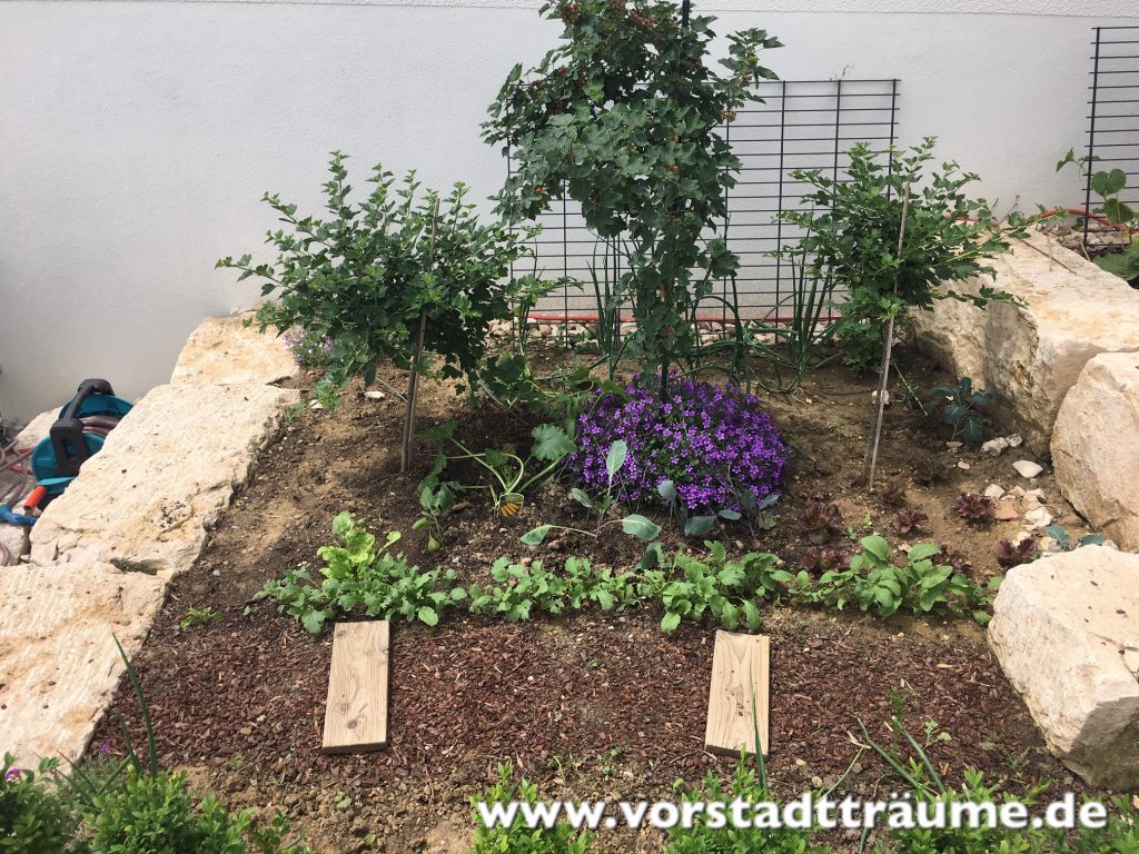 Gemüsegarten seitlich vom Haus