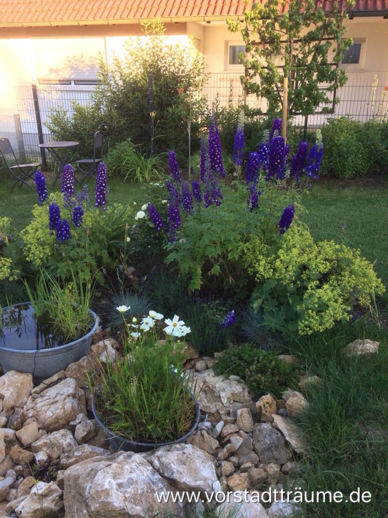 Staudenbeet mit Rittersporn