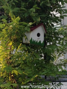 Vogelhaus in meinem Garten