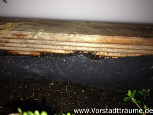 Die Teichfolie unter dem Rand abschneiden