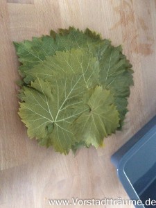 Die gepflückten und blanchierten Weinblätter