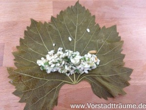 Die Füllung aus Reis wird in die Mitte der Weinblätter gegeben.