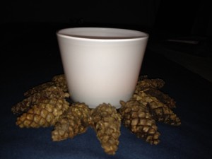 Teelicht mit geschlossenen Tannenzapfen