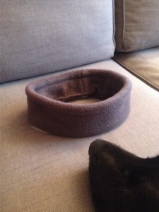 Fertiges Stirnband mit Hundeschnauze ;)