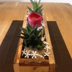 Blumenkasten aus Paletten mit winterliche Dekoration