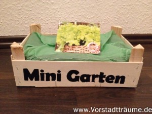 Mini Beet aus Mandarinenkisten