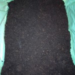 Erde bis zum Rand der Kiste einfüllen