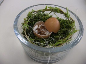 Kresseeier im Moosnest mit Weidekranz