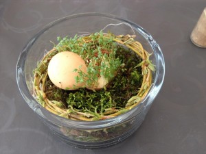 Kresseeiner im Moosnest mit Weidekranz